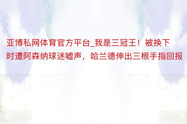 亚博私网体育官方平台_我是三冠王！被换下时遭阿森纳球迷嘘声，哈兰德伸出三根手指回报