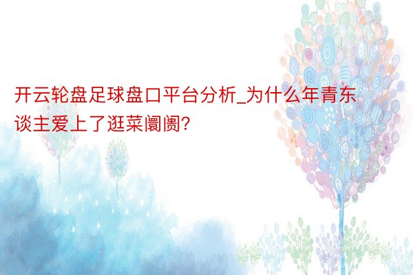 开云轮盘足球盘口平台分析_为什么年青东谈主爱上了逛菜阛阓？