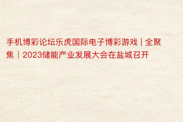手机博彩论坛乐虎国际电子博彩游戏 | 全聚焦│2023储能产业发展大会在盐城召开