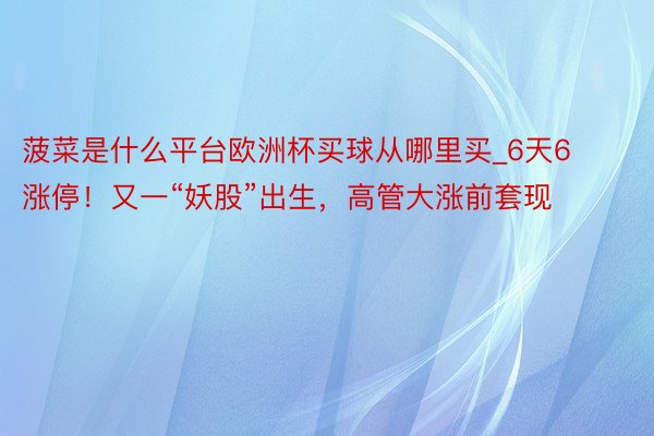 菠菜是什么平台欧洲杯买球从哪里买_6天6涨停！又一“妖股”出生，高管大涨前套现
