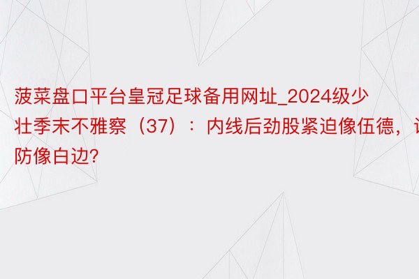 菠菜盘口平台皇冠足球备用网址_2024级少壮季末不雅察（37）：内线后劲股紧迫像伍德，谨防像白边？