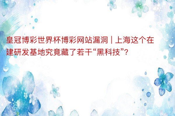 皇冠博彩世界杯博彩网站漏洞 | 上海这个在建研发基地究竟藏了若干“黑科技”？